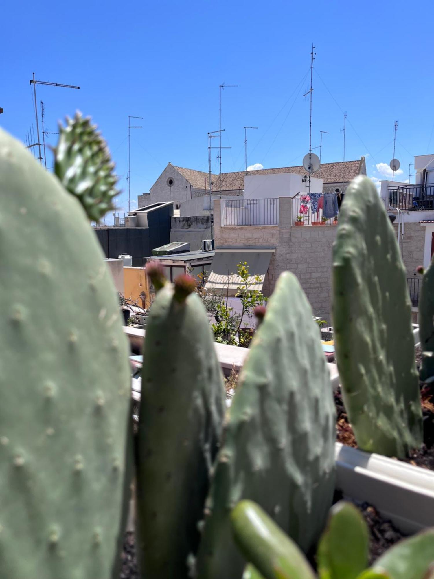 Casa Franca - Terracielo A Bari Vecchia Villa Buitenkant foto